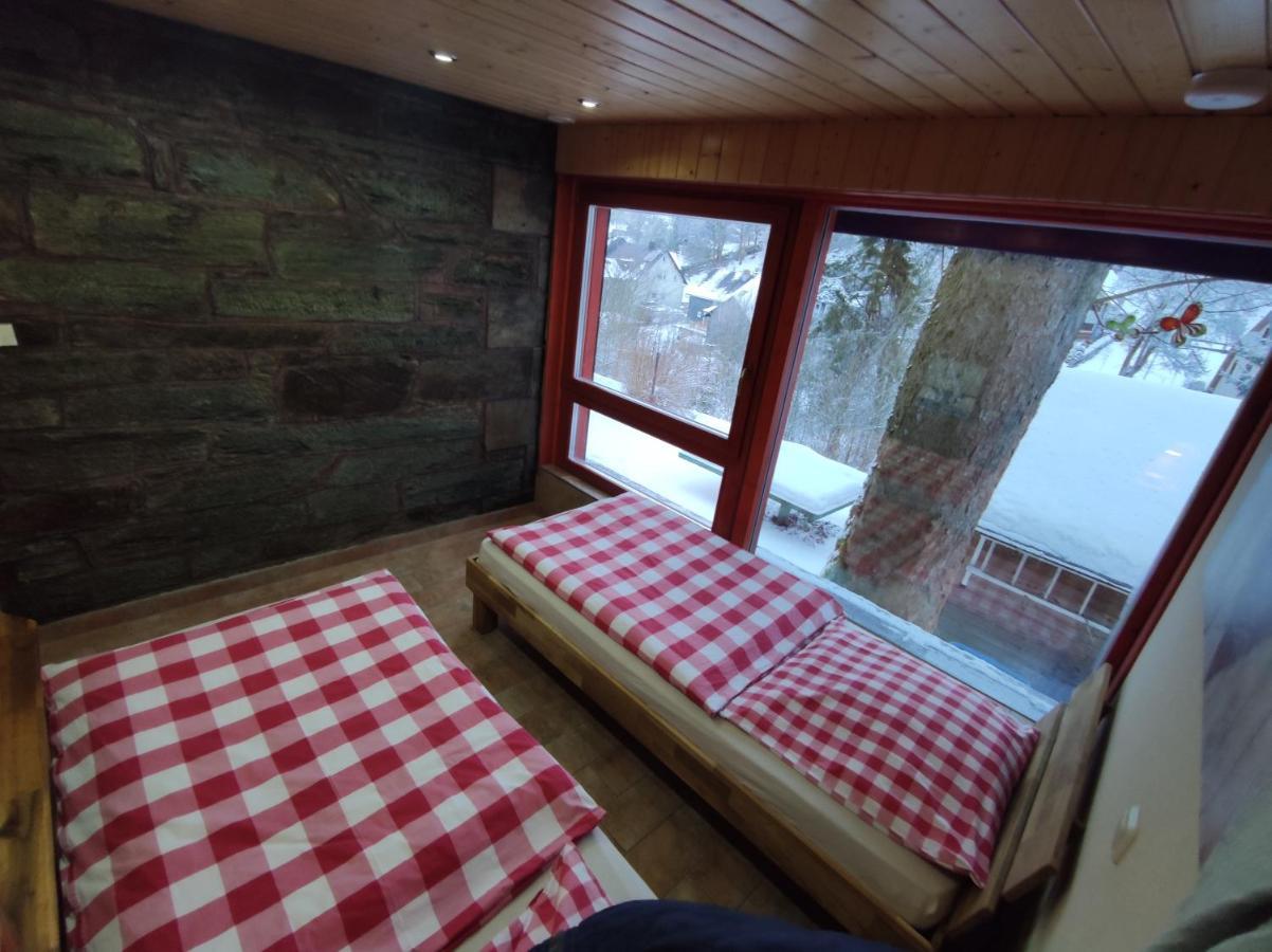Waldluftin Apartment Lauscha ภายนอก รูปภาพ
